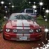prunie_24370